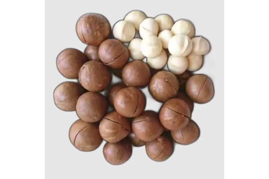 Which Vietnamese Macadamia Nuts Are Popular in the World?