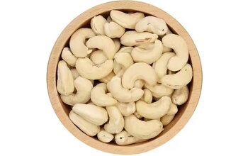 What Is Fresh Cashew Nut? Why Is It Popular with Many People Around the World?