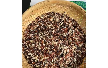 What Is Vietnamese Nutritional Rice? Comparison with Other Foods