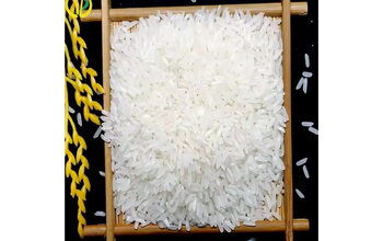 What Is Thai Rice? Comparison with Other Types of Rice