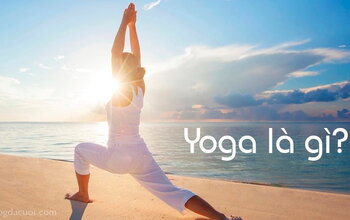 Yoga là gì? Nguồn gốc lịch sử, Phân loại và Những điều cần biết