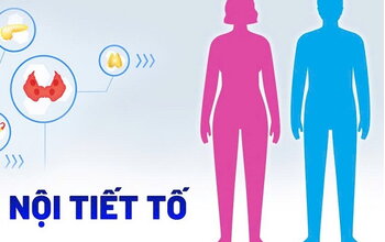 Điều Hòa Nội Tiết Tố Với Yoga - Sức Khỏe và Thư Giãn