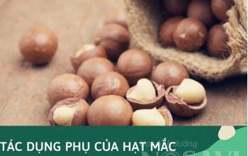 Tác dụng phụ của hạt (quả) macca (mắc ca)