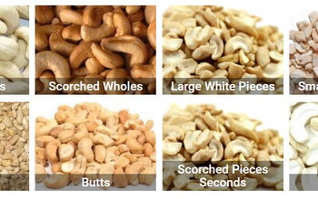 Types of cashew